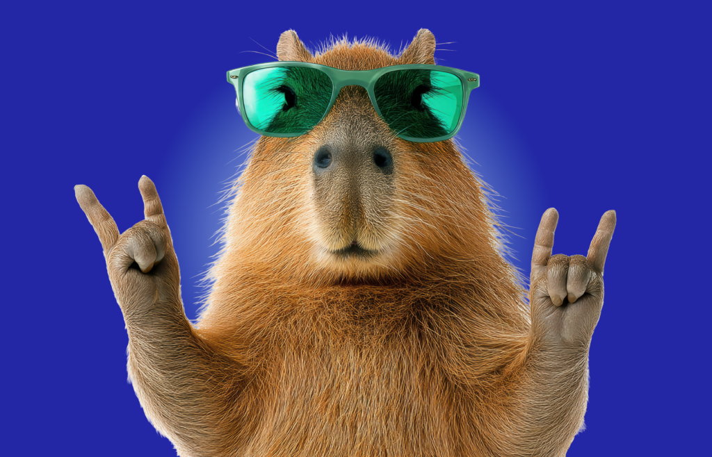 Capybara with sunglasses on